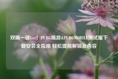 双端一键Get!PUBG端游&PUBGMOBILE测试服下载安装全指南 轻松提前解锁新内容