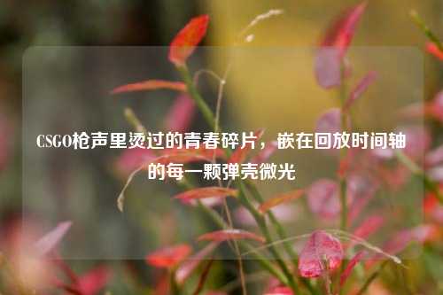CSGO枪声里烫过的青春碎片，嵌在回放时间轴的每一颗弹壳微光
