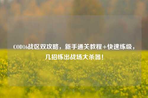 COD16战区双攻略，新手通关教程+快速练级，几招练出战场大杀器！