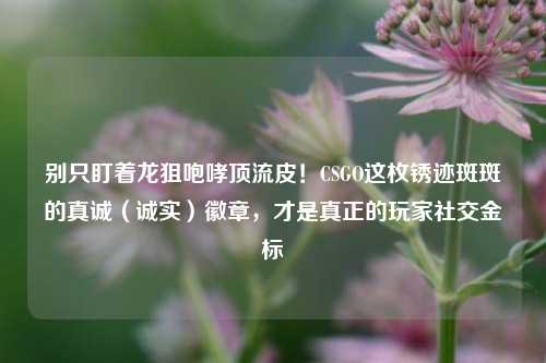 别只盯着龙狙咆哮顶流皮！CSGO这枚锈迹斑斑的真诚（诚实）徽章，才是真正的玩家社交金标