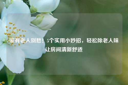 家有老人别愁!5个实用小妙招,轻松除老人味让房间清新舒适