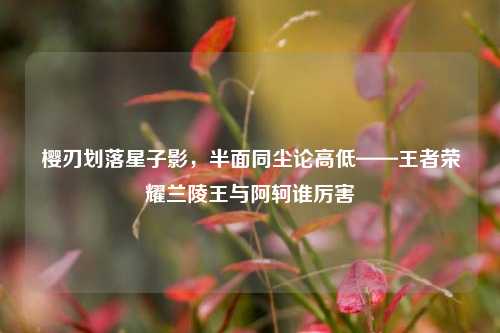 樱刃划落星子影,半面同尘论高低——王者荣耀兰陵王与阿轲谁厉害