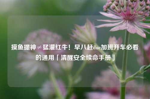 摸鱼提神≠猛灌红牛!早八赶due加班开车必看的通用「清醒安全续命手册」
