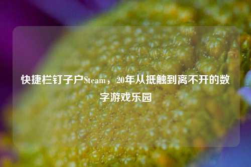 快捷栏钉子户Steam，20年从抵触到离不开的数字游戏乐园