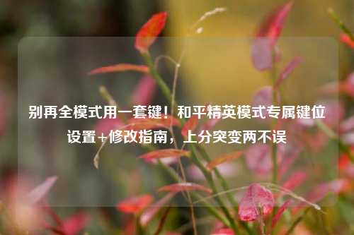 别再全模式用一套键！和平精英模式专属键位设置+修改指南，上分突变两不误