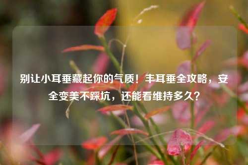 别让小耳垂藏起你的气质!丰耳垂全攻略,安全变美不踩坑,还能看维持多久?