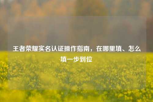 王者荣耀实名认证操作指南,在哪里填、怎么填一步到位
