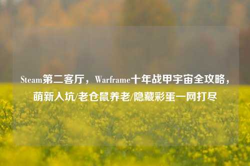 Steam第二客厅,Warframe十年战甲宇宙全攻略,萌新入坑/老仓鼠养老/隐藏彩蛋一网打尽