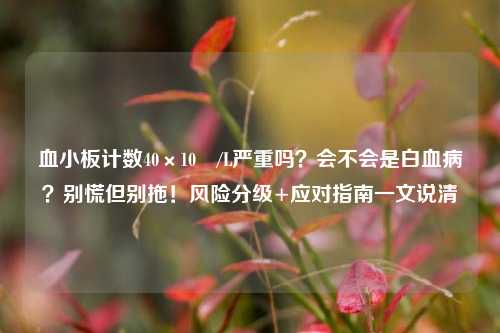 血小板计数40×10⁹/L严重吗?会不会是白血病?别慌但别拖!风险分级+应对指南一文说清