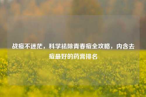 战痘不迷茫,科学祛除青春痘全攻略,内含去痘最好的药膏排名