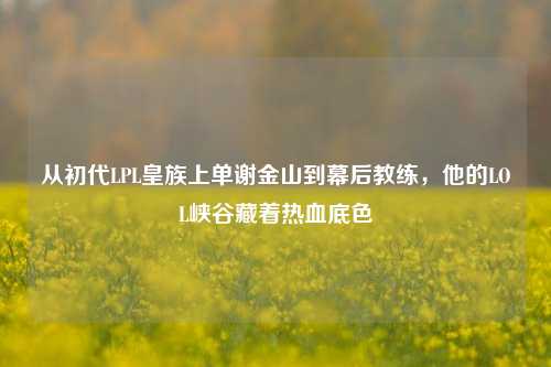 从初代LPL皇族上单谢金山到幕后教练,他的LOL峡谷藏着热血底色