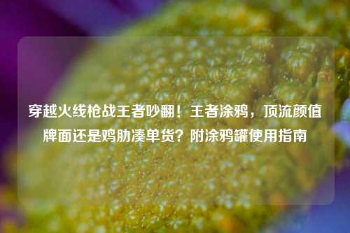 穿越火线枪战王者吵翻!王者涂鸦,顶流颜值牌面还是鸡肋凑单货?附涂鸦罐使用指南