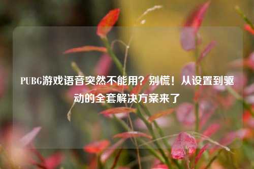 PUBG游戏语音突然不能用?别慌!从设置到驱动的全套解决方案来了