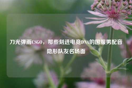 刀光弹雨CSGO，那些刻进电竞DNA的国服男配音隐形队友名场面