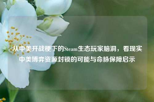 从中美开战梗下的Steam生态玩家脑洞,看现实中美博弈资源封锁的可能与命脉保障启示