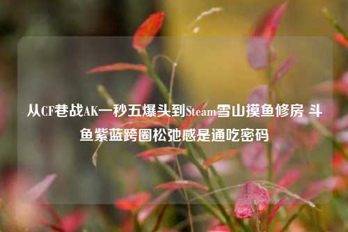 从CF巷战AK一秒五爆头到Steam雪山摸鱼修房 斗鱼紫蓝跨圈松弛感是通吃密码