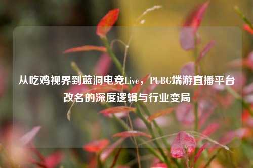 从吃鸡视界到蓝洞电竞Live,PUBG端游直播平台改名的深度逻辑与行业变局