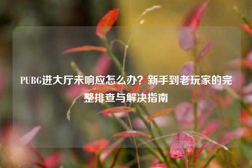 PUBG进大厅未响应怎么办?新手到老玩家的完整排查与解决指南