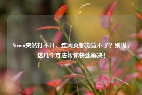 Steam突然打不开、连网页都浏览不了？别慌，这几个方法帮你快速解决！