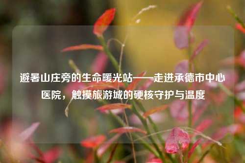 避暑山庄旁的生命暖光站——走进承德市中心医院,触摸旅游城的硬核守护与温度