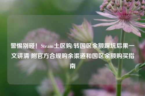 警惕别碰!Steam土区购/转国区余额踩坑后果一文讲清 附官方合规购余渠道和国区余额购买指南