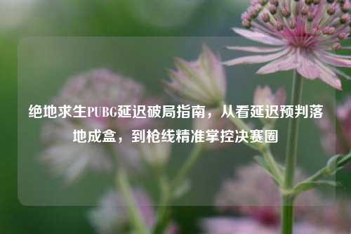 绝地求生PUBG延迟破局指南，从看延迟预判落地成盒，到枪线精准掌控决赛圈