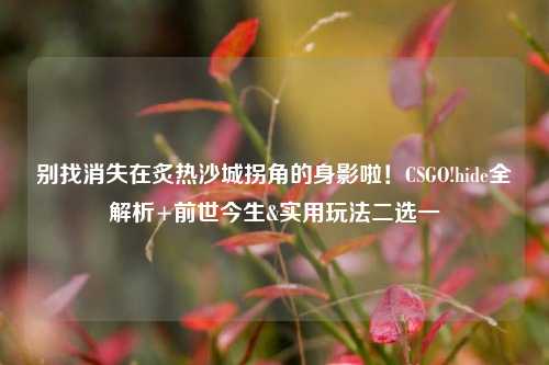 别找消失在炙热沙城拐角的身影啦！CSGO!hide全解析+前世今生&实用玩法二选一