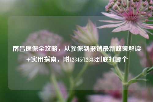 南昌医保全攻略,从参保到报销最新政策解读+实用指南,附12345/12333到底打哪个