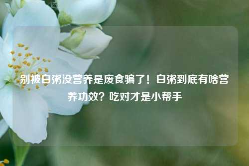 别被白粥没营养是废食骗了!白粥到底有啥营养功效?吃对才是小帮手