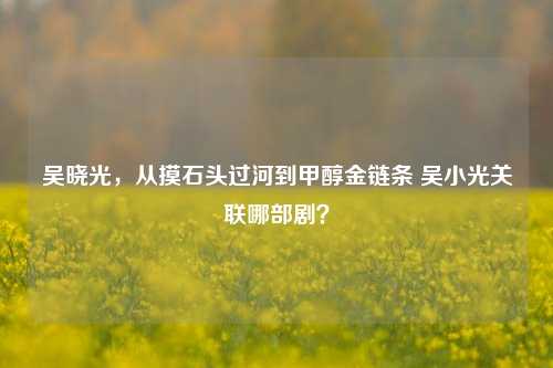 吴晓光,从摸石头过河到甲醇金链条 吴小光关联哪部剧?
