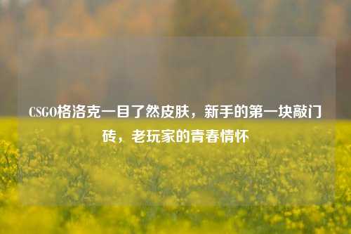CSGO格洛克一目了然皮肤,新手的第一块敲门砖,老玩家的青春情怀