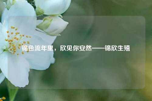 锦色流年里,欣见你安然——锦欣生殖