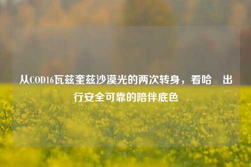 从COD16瓦兹奎兹沙漠光的两次转身,看哈啰出行安全可靠的陪伴底色