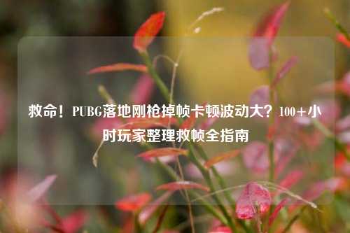 救命！PUBG落地刚枪掉帧卡顿波动大？100+小时玩家整理救帧全指南