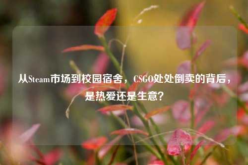 从Steam市场到校园宿舍，CSGO处处倒卖的背后，是热爱还是生意？