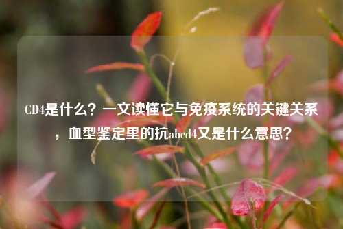 CD4是什么?一文读懂它与免疫系统的关键关系,血型鉴定里的抗abcd4又是什么意思?