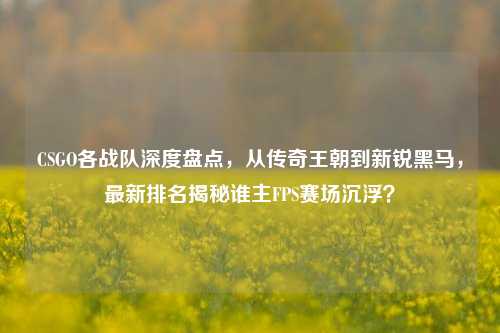 CSGO各战队深度盘点,从传奇王朝到新锐黑马,最新排名揭秘谁主FPS赛场沉浮?