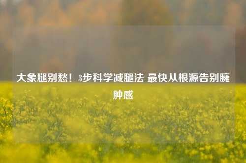 大象腿别愁!3步科学减腿法 最快从根源告别臃肿感