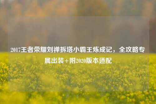 2017王者荣耀刘禅拆塔小霸王炼成记,全攻略专属出装+附2020版本适配