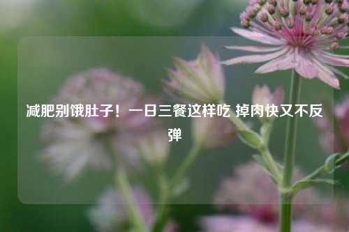 减肥别饿肚子!一日三餐这样吃 掉肉快又不反弹