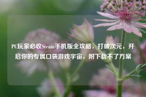 PC玩家必收Steam手机版全攻略，打破次元，开启你的专属口袋游戏宇宙，附下载不了方案