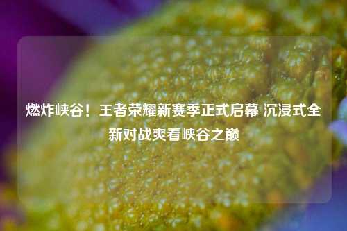 燃炸峡谷！王者荣耀新赛季正式启幕 沉浸式全新对战爽看峡谷之巅