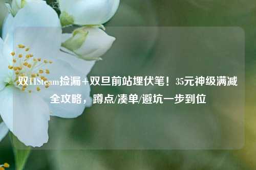 双11Steam捡漏+双旦前站埋伏笔!35元神级满减全攻略,蹲点/凑单/避坑一步到位
