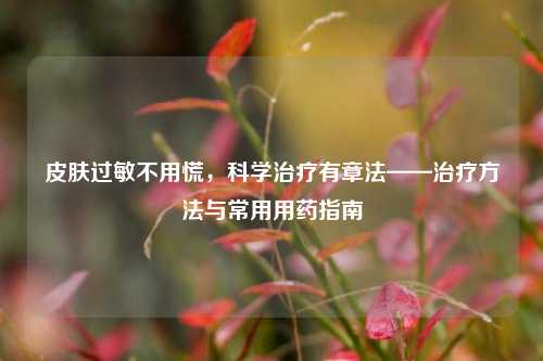 皮肤过敏不用慌,科学治疗有章法——治疗方法与常用用药指南