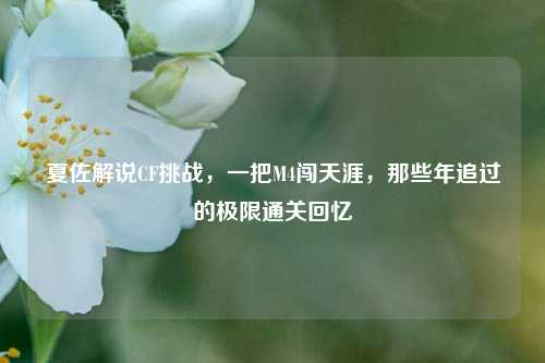 夏佐解说CF挑战,一把M4闯天涯,那些年追过的极限通关回忆
