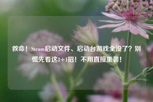 救命!Steam启动文件、启动台游戏全没了?别慌先看这3+1招!不用直接重装!