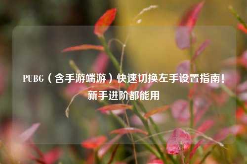 PUBG（含手游端游）快速切换左手设置指南！新手进阶都能用