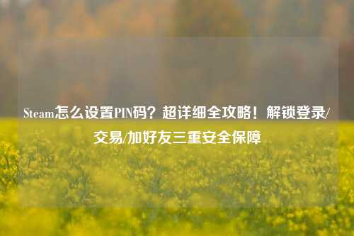 Steam怎么设置PIN码？超详细全攻略！解锁登录/交易/加好友三重安全保障