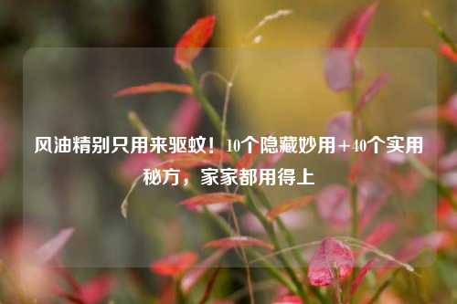 风油精别只用来驱蚊!10个隐藏妙用+40个实用秘方,家家都用得上