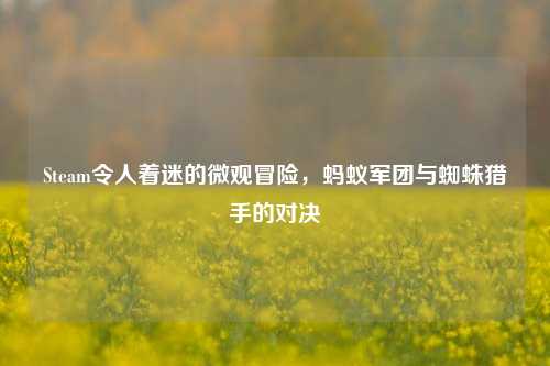 Steam令人着迷的微观冒险,蚂蚁军团与蜘蛛猎手的对决